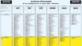 Muster-Stimmzettel LTW 2025 Wahlkreis 1