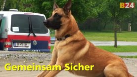 „GEMEINSAM.SICHER“ Preisverleihung in der NMS Gols