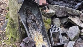 Offene Flame im Wald 1