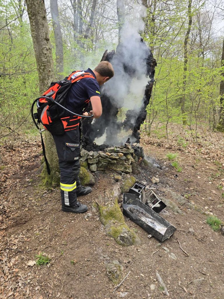 Offene Flammen im Wald Diözese Eisenstadt Brand Burgenland Feuerwehr Bildstock Mariä Empfängnis