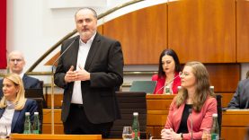 LH Doskozil, LH-Stv.in Haider-Wallner Landtag 20.02 2025