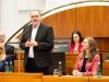 LH Doskozil, LH-Stv.in Haider-Wallner Landtag 20.02 2025