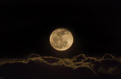 MzAxMmQ3NDUtNWZhNS00OWI4LTg2NTctNzg0MWJiNWRjNGNm-1sbCji