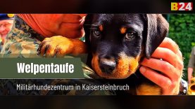 Welpentaufe 24.06.2025 facebook-2