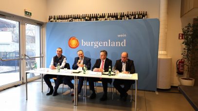 PK Studie Weinwirtschaft 2